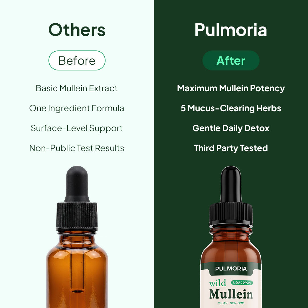 Pulmoria Mullein Drops