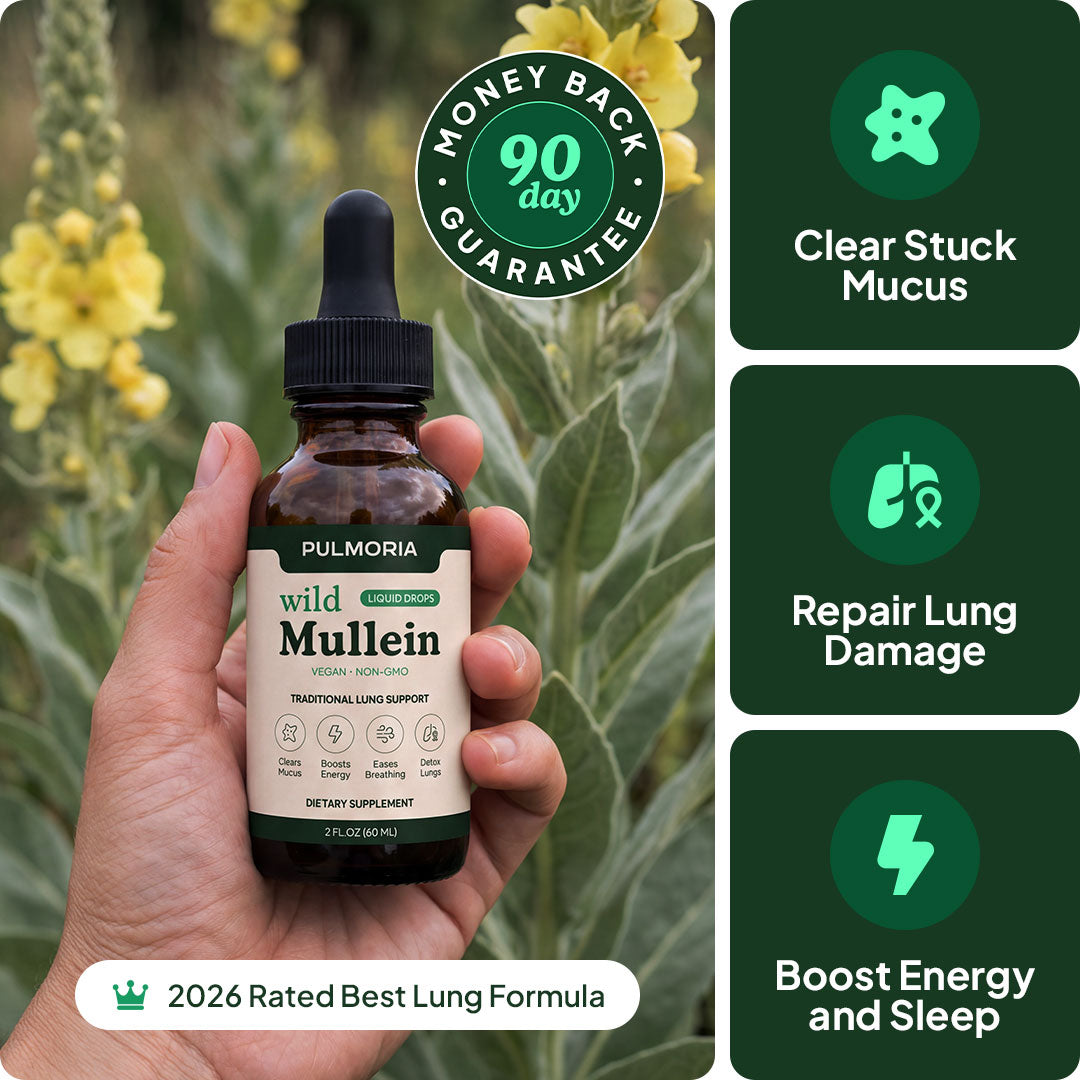 Pulmoria Mullein Drops