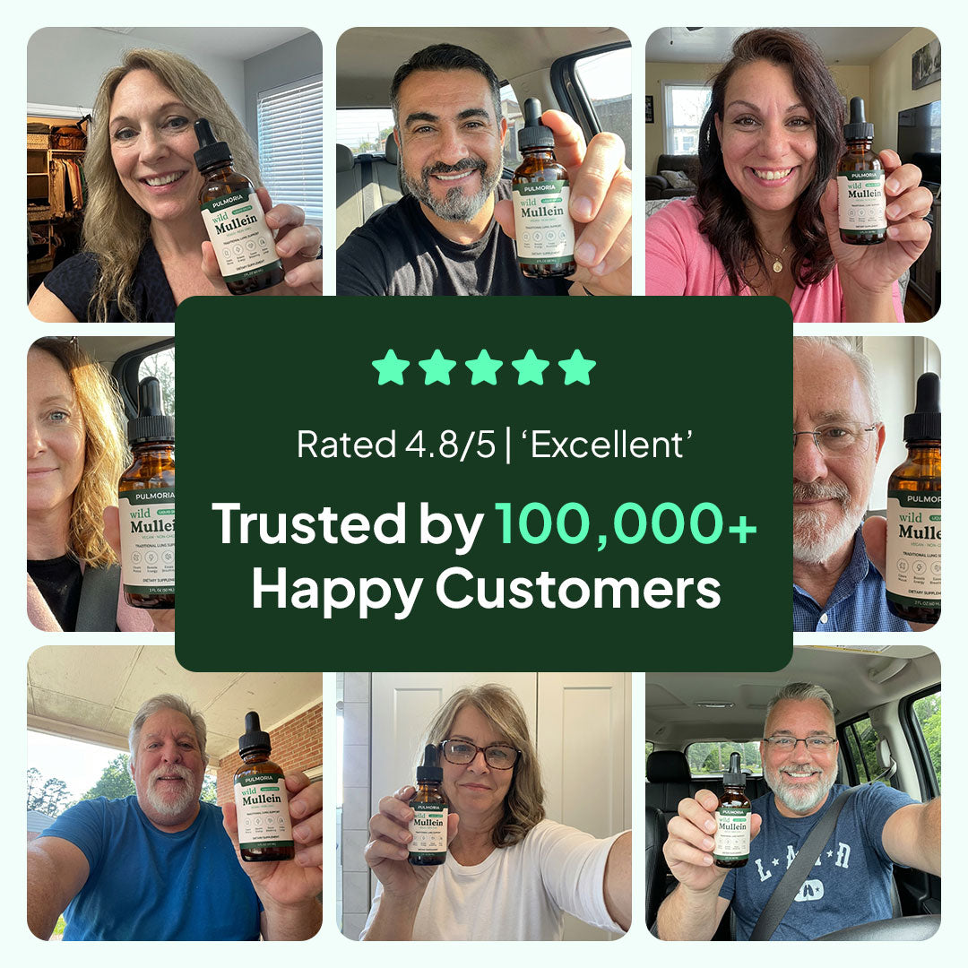 Pulmoria Mullein Drops