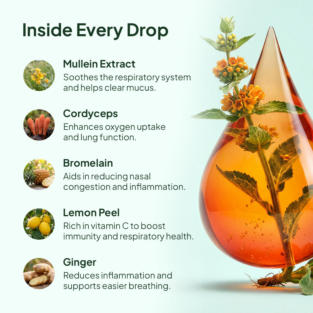 Pulmoria Mullein Drops