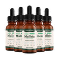 6x Mullein Drops