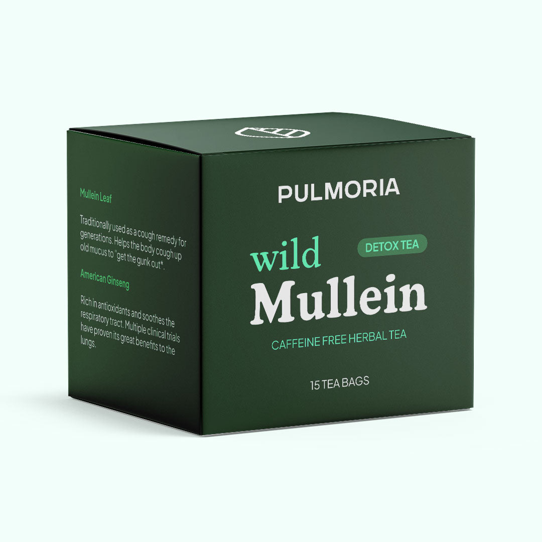 Pulmoria Mullein Tea